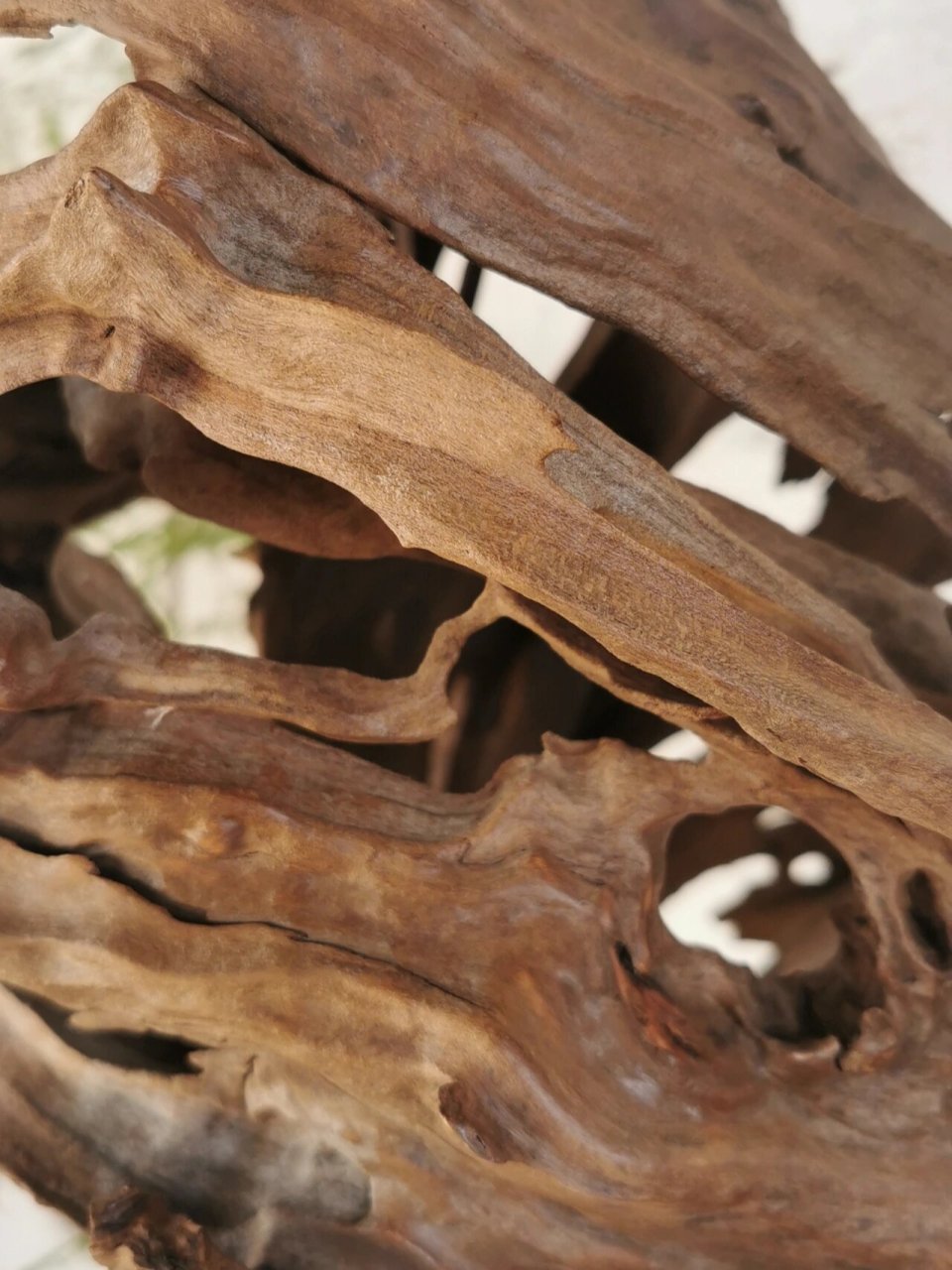 很精品的一个根艺摆件 婀娜,镂空,风化无一不是大自然的杰作.