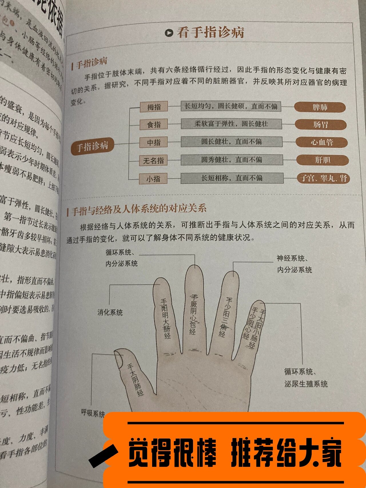 是因为每个手指可以代表不同的脏腑器官 手指与脏腑有着相应的对应