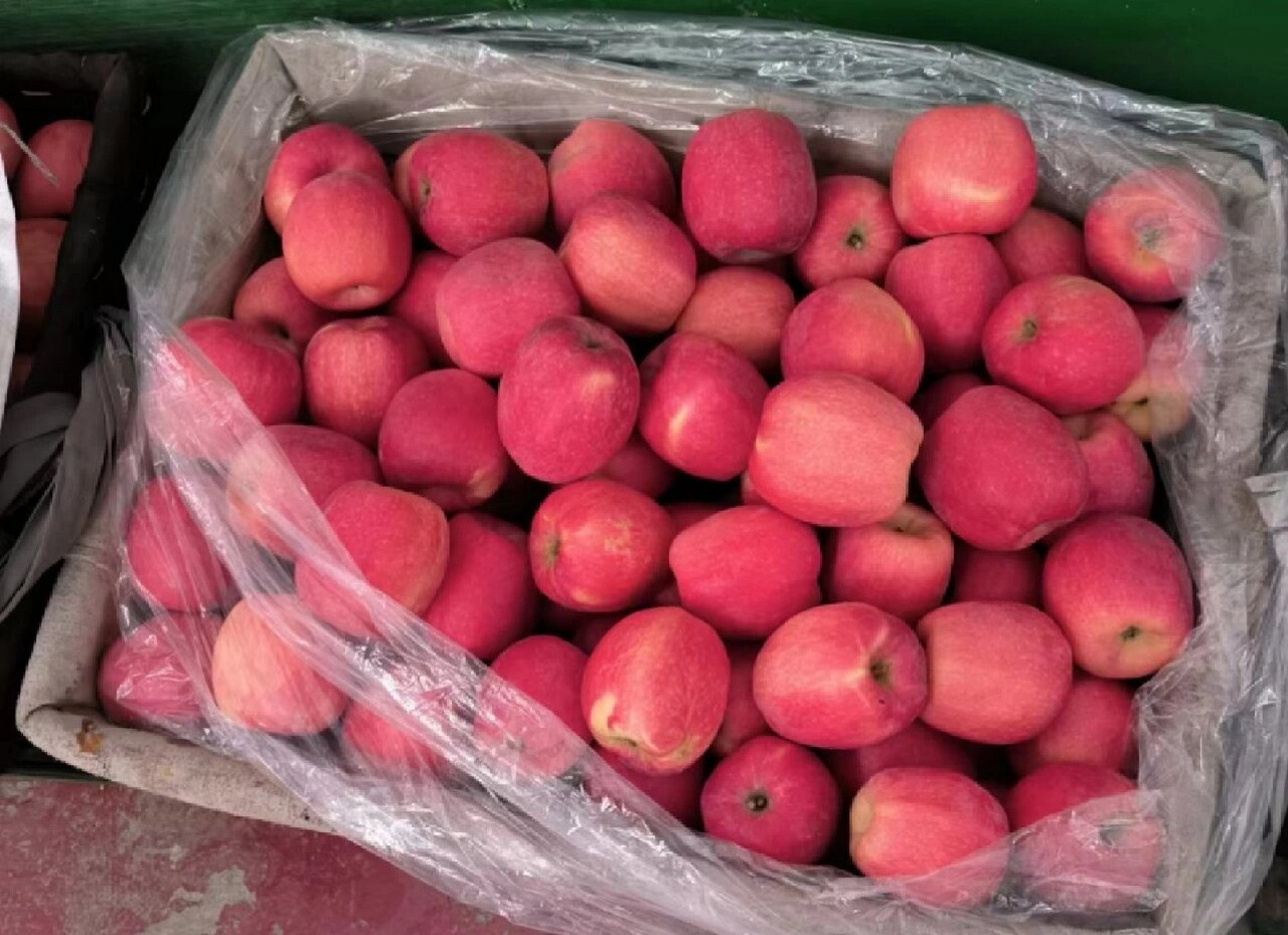 陕西富平纯天然瑞香红苹果,量大从优 自家的:现卖现摘 新鲜的9696