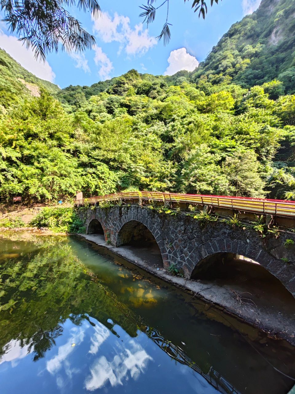 桐庐白云源景区 今年夏天就一个愿望一定要溯溪,然后我就瞄准了桐庐
