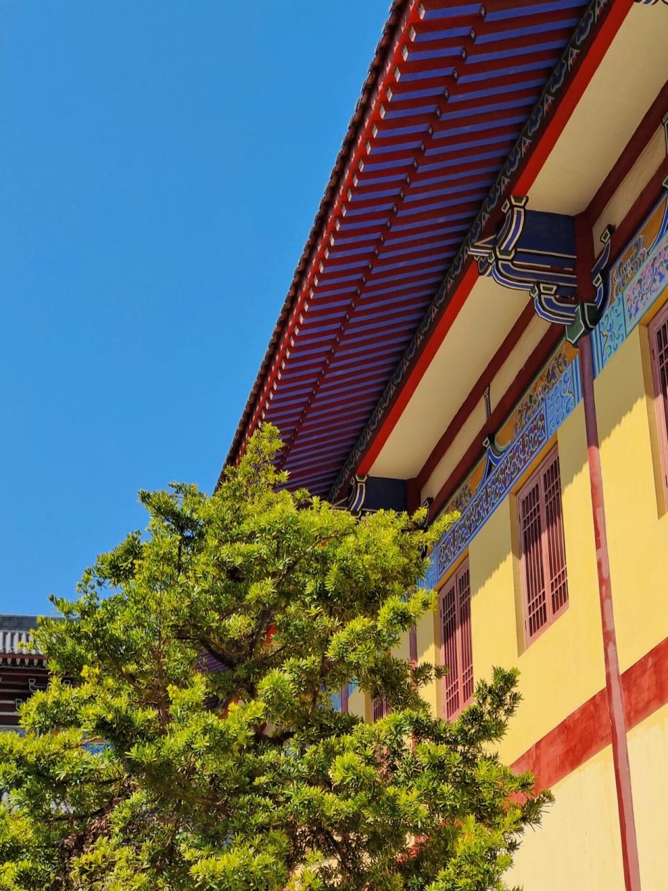 可看汕头全景的寺庙 99导航「铁林禅寺」,站在大门口回头看,可以