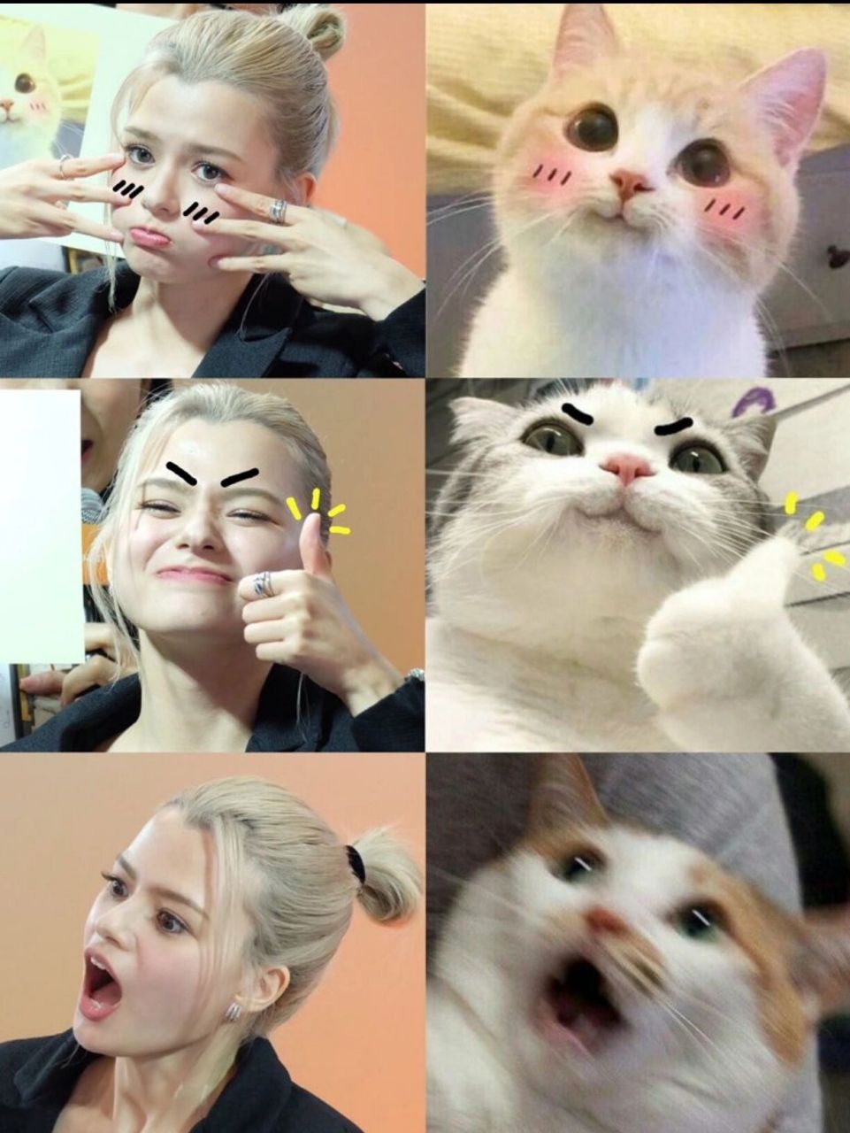 表情包大户人家becky