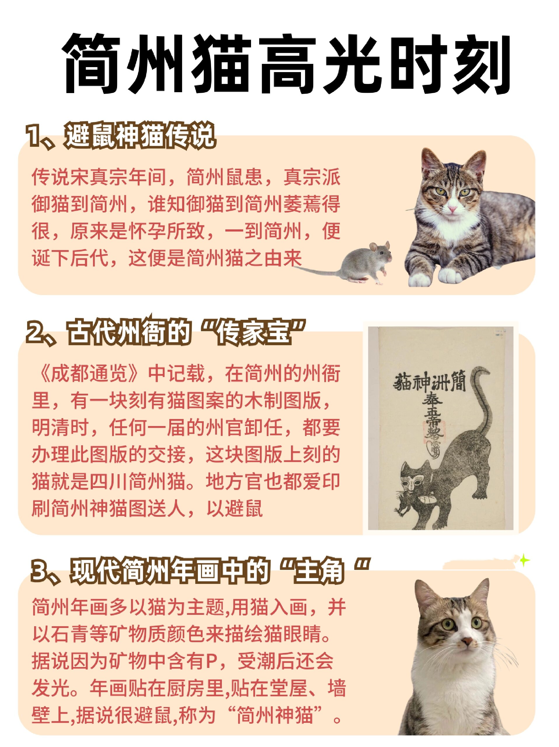 不抗揍就别养四川简州猫了|巴蜀萌宠