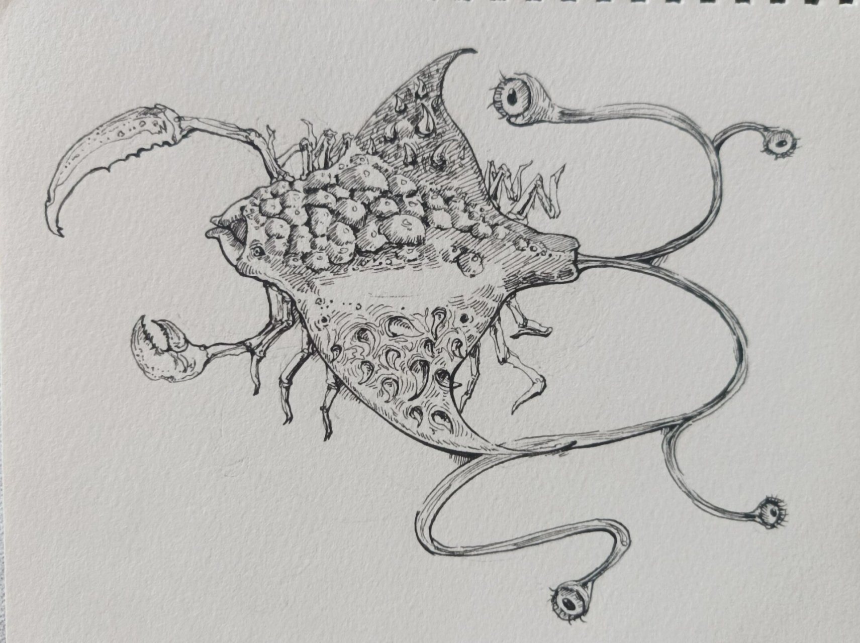 核污染系列7 核污染系列7 编号:2407 物种:魔鬼鱼 描述: "那是什么?