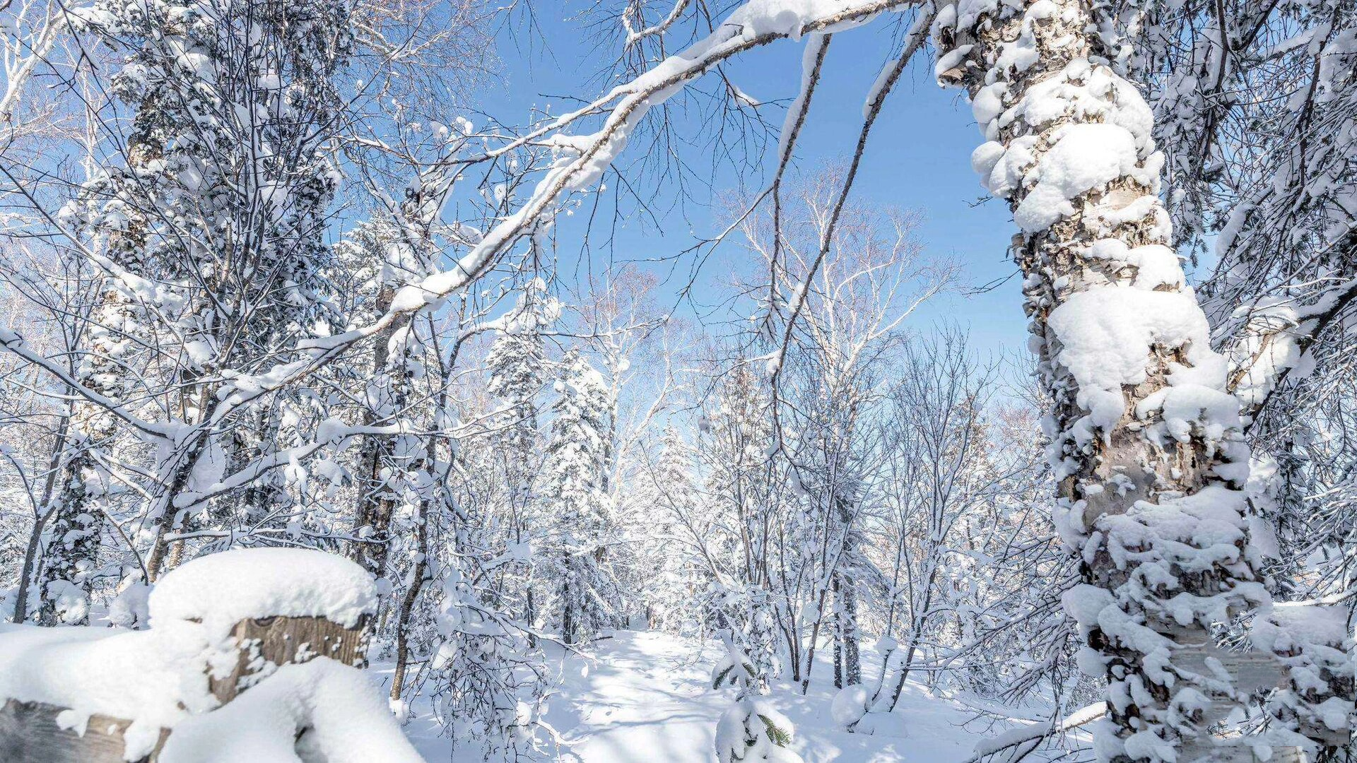 冰雪画廊和十里画廊图片