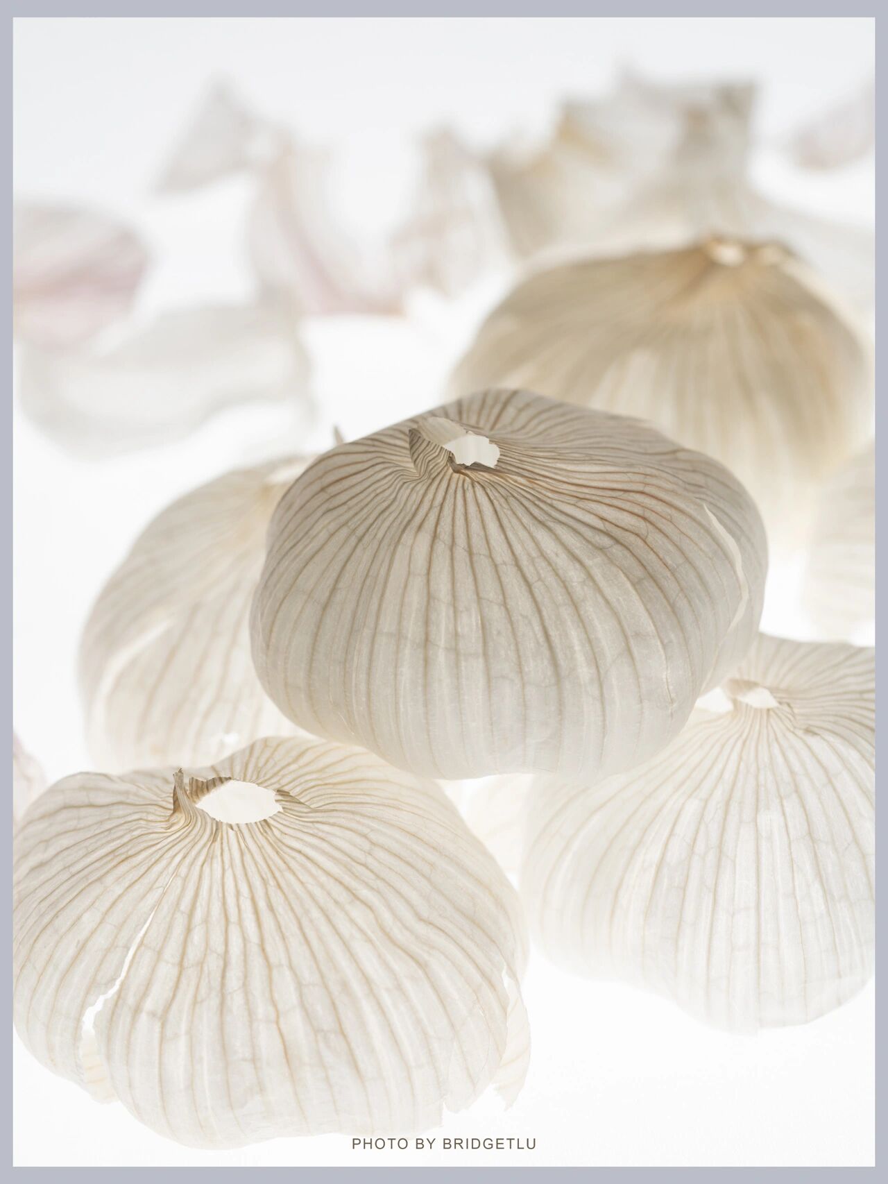 静物摄影|大蒜的皮00 蒜其实是个 颜值很高的朋友00 尤其是 它的