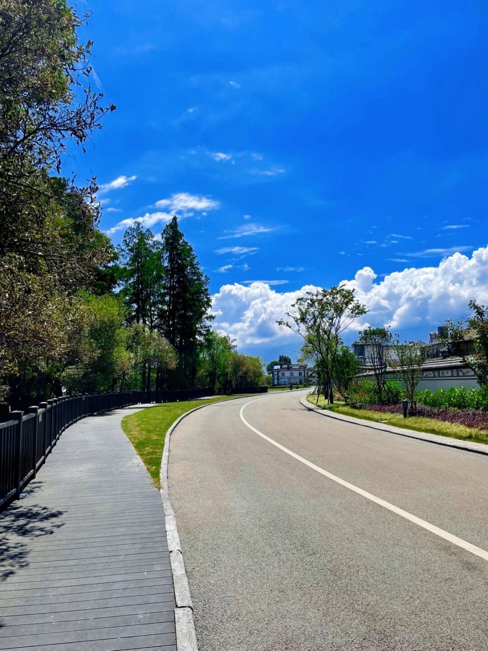 过无数次大理了,居然直到这个中秋才认识了全长129公里的洱海生态廊道