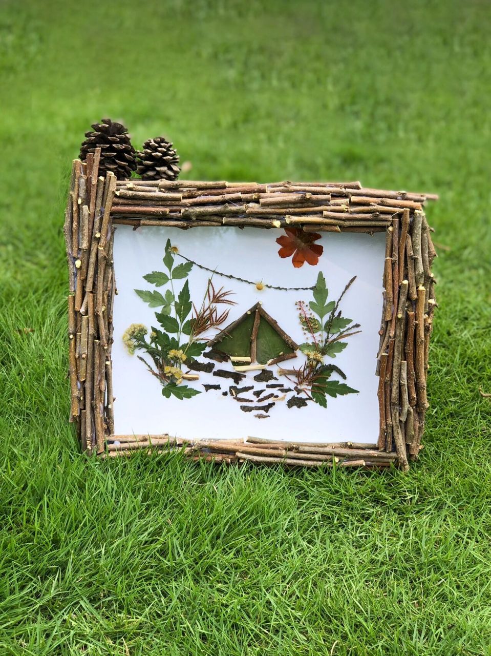 夏日宅家手工,0成本diy植物拼贴画相框!