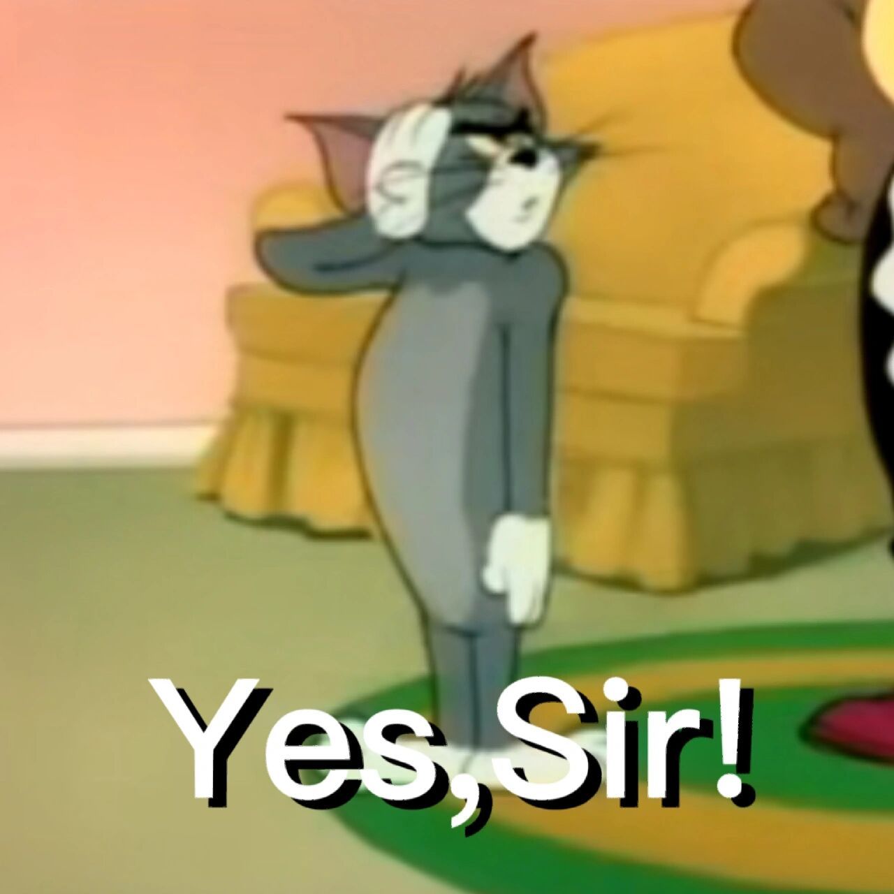 敬礼!每天都在"收到""收到""111" 真太卑微了