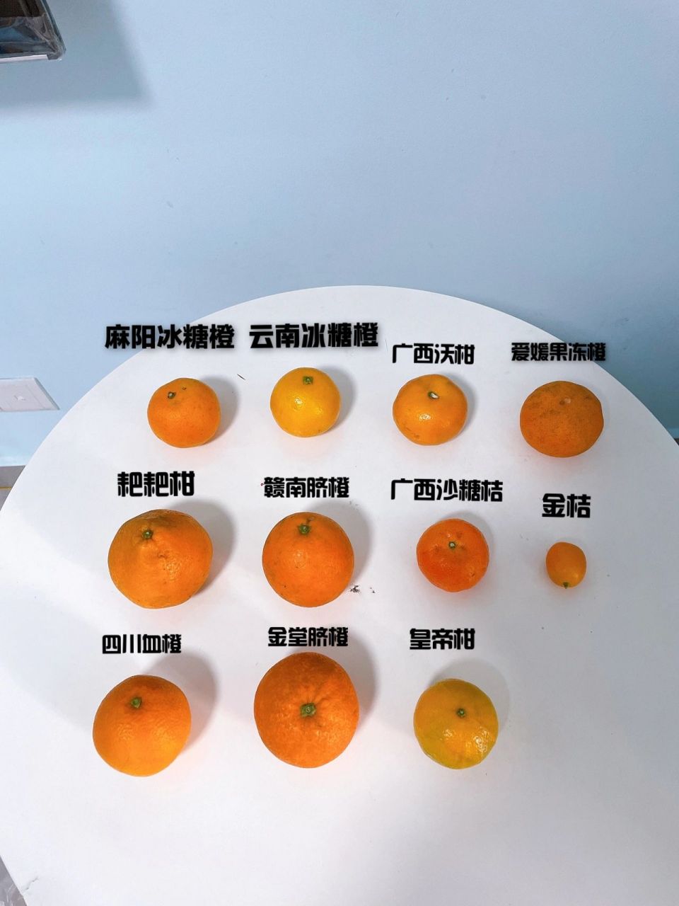 什么橘子品种好吃,口感测评 9292看到大家经常求推荐好吃的橘子好