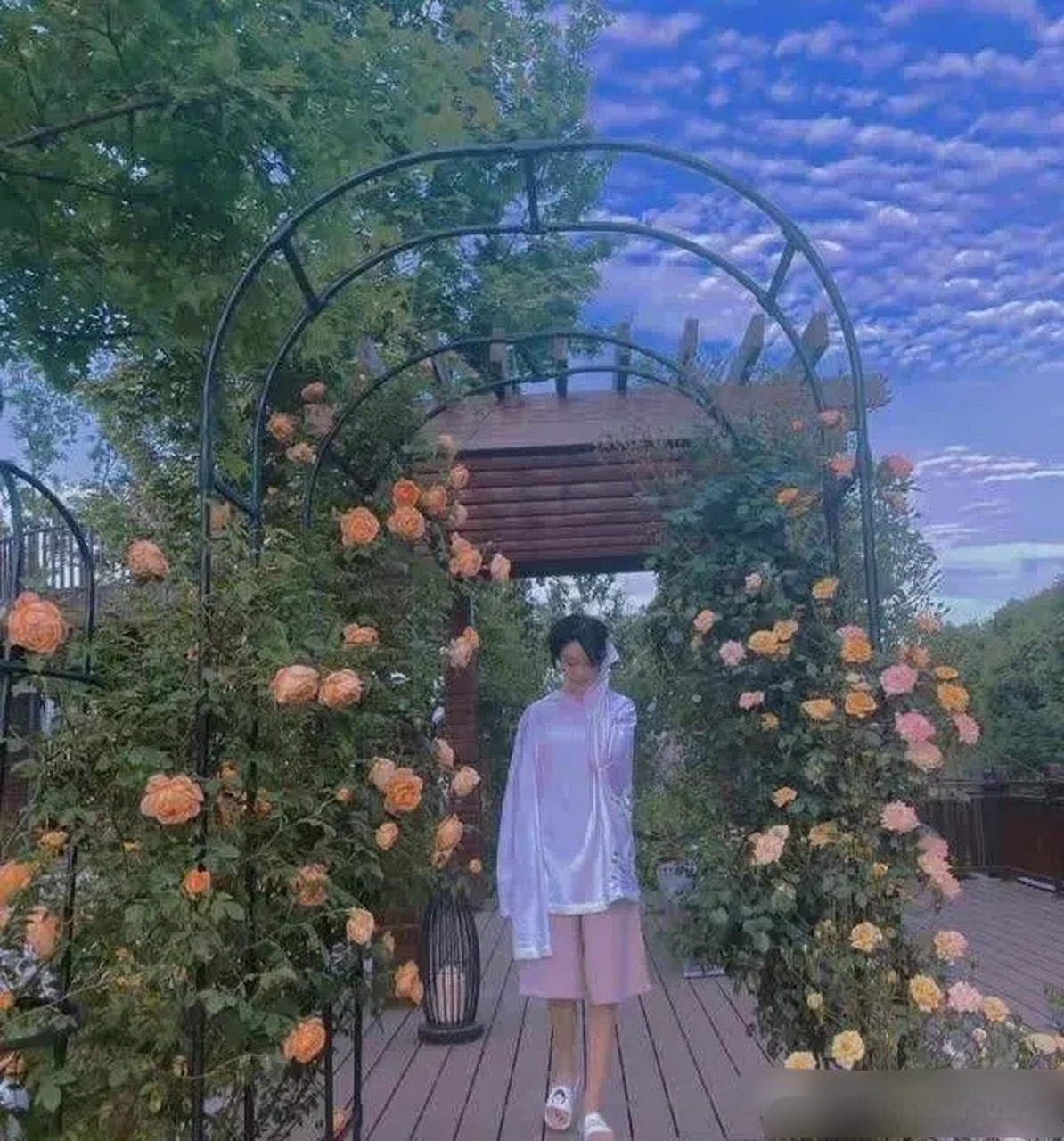 大家欣赏一组张馨予家的大花园照片.