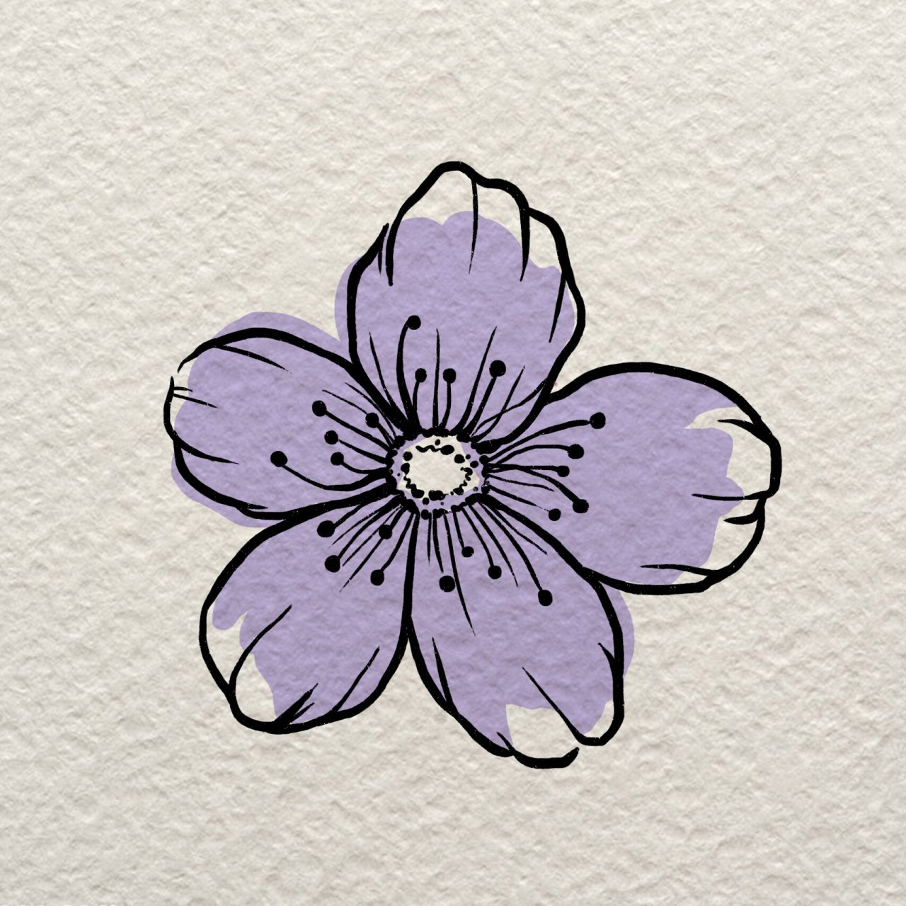 简笔画|一朵小花花 小花花插画步骤注意查收,友情提示,一定要等到勾线