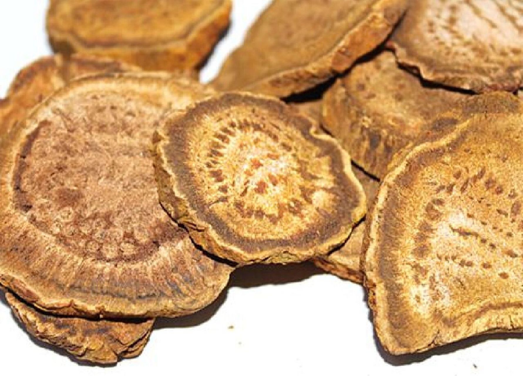 每日认识一味中药——大黄 蓼科植物 入药部位:干燥根及根茎 "北大黄"