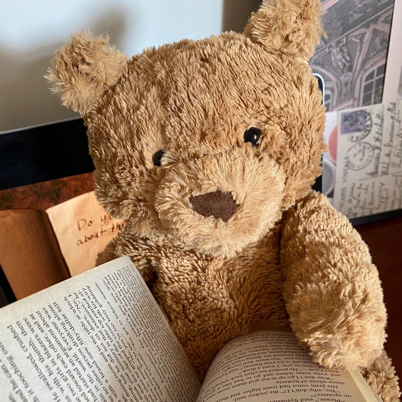 读书熊熊头6015头像分享 假期还被抓起来读书, 卷死熊了