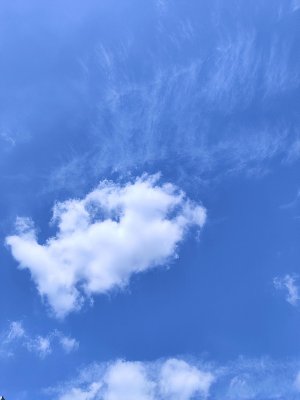 真正发现其中的快乐.