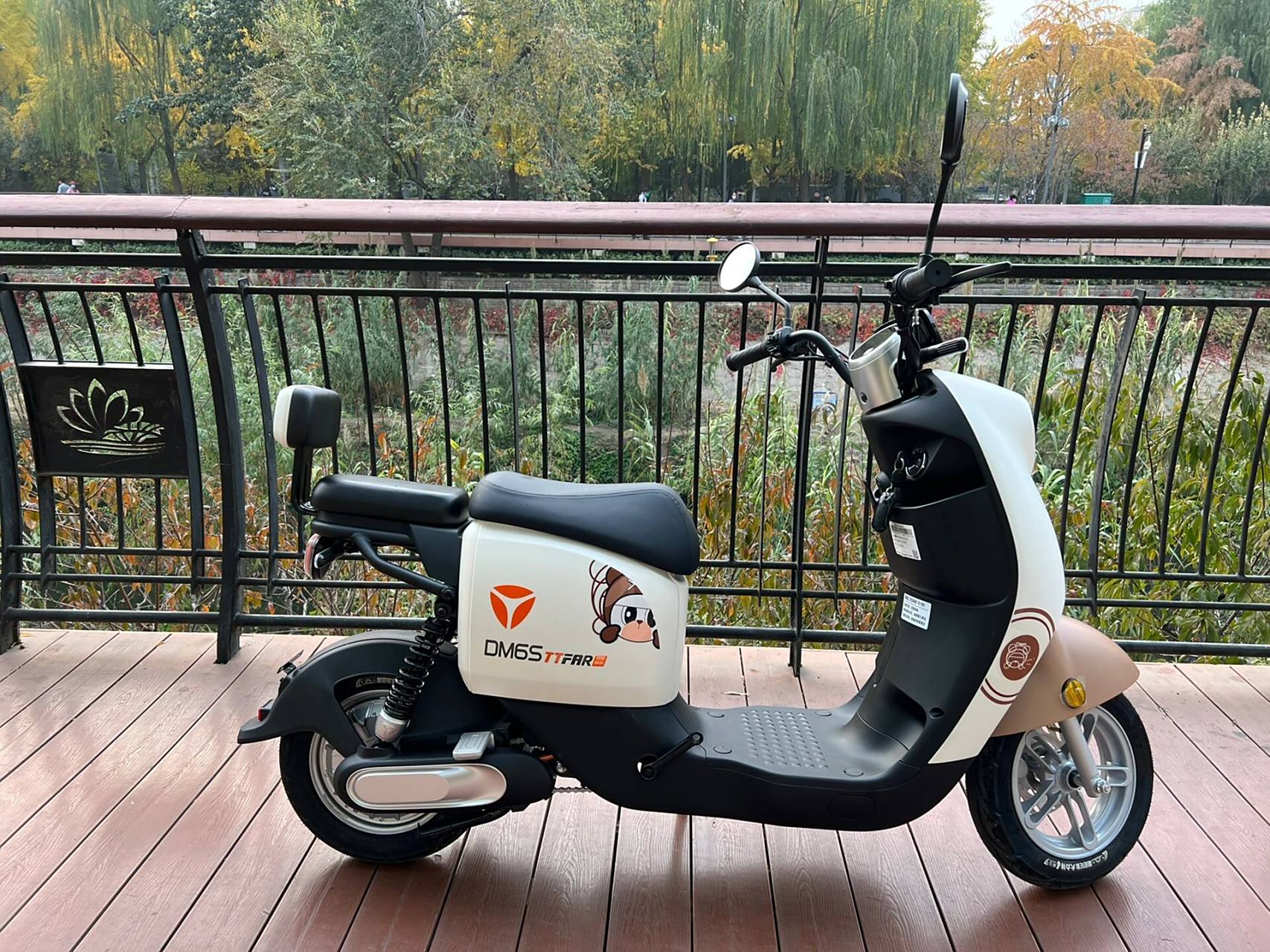 入手雅迪dm6 纠结了几天,最终还是入手了雅迪dm6,车身上写的是dm6s