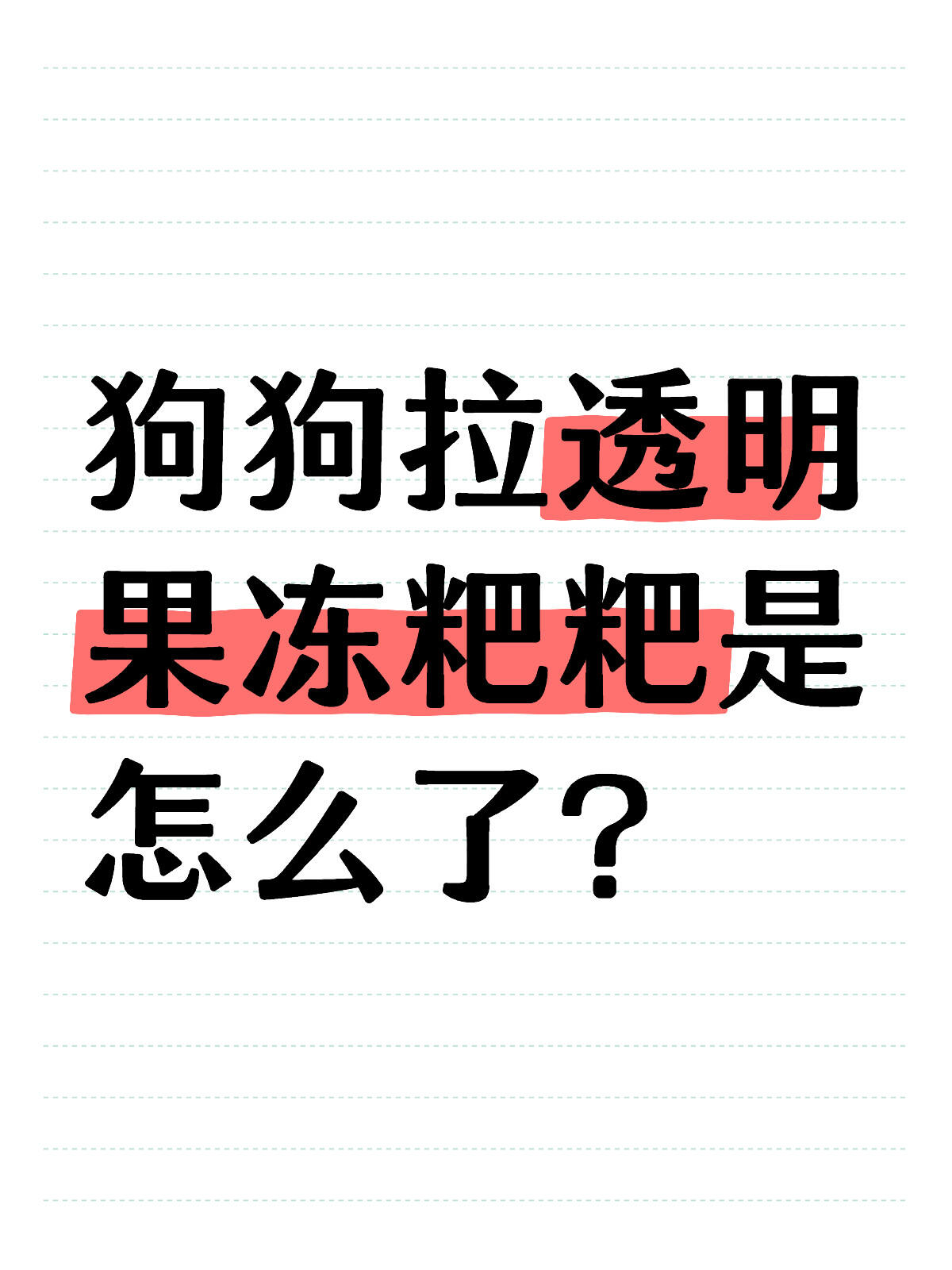 狗狗粑粑