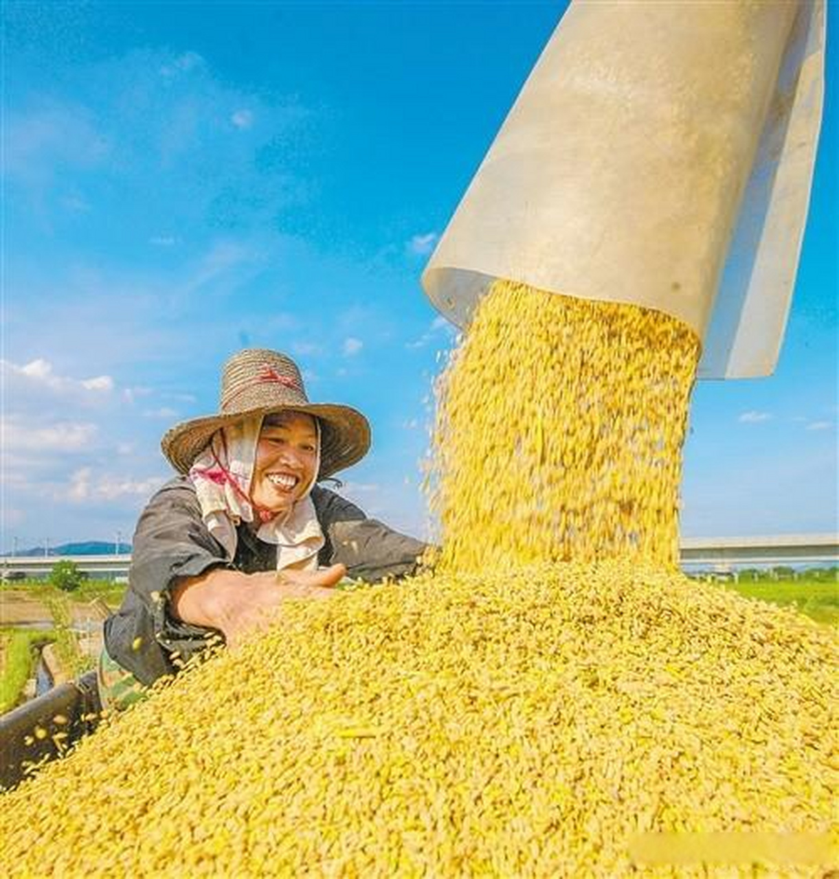 据悉,郑州市2024年夏粮产量77.12万吨,播种面积218.88万亩,单产352.