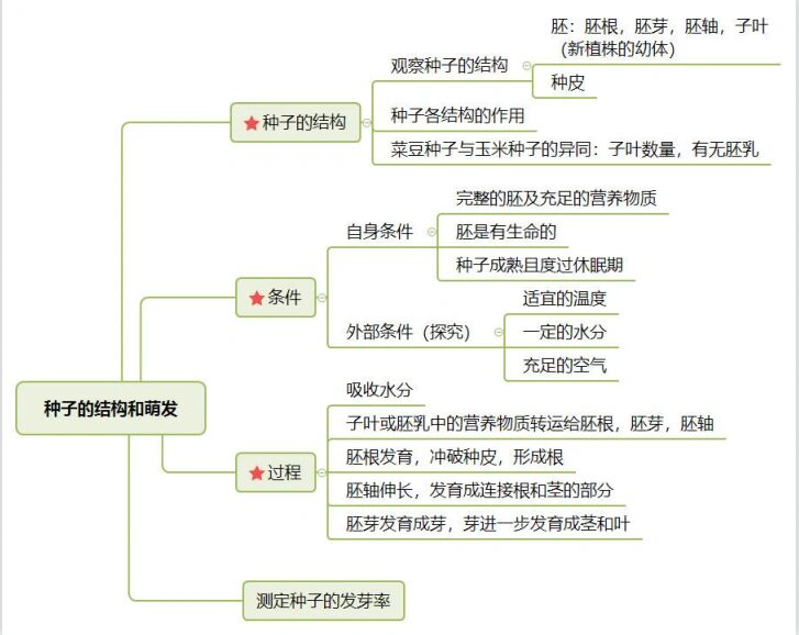 种子的思维导图发芽图片