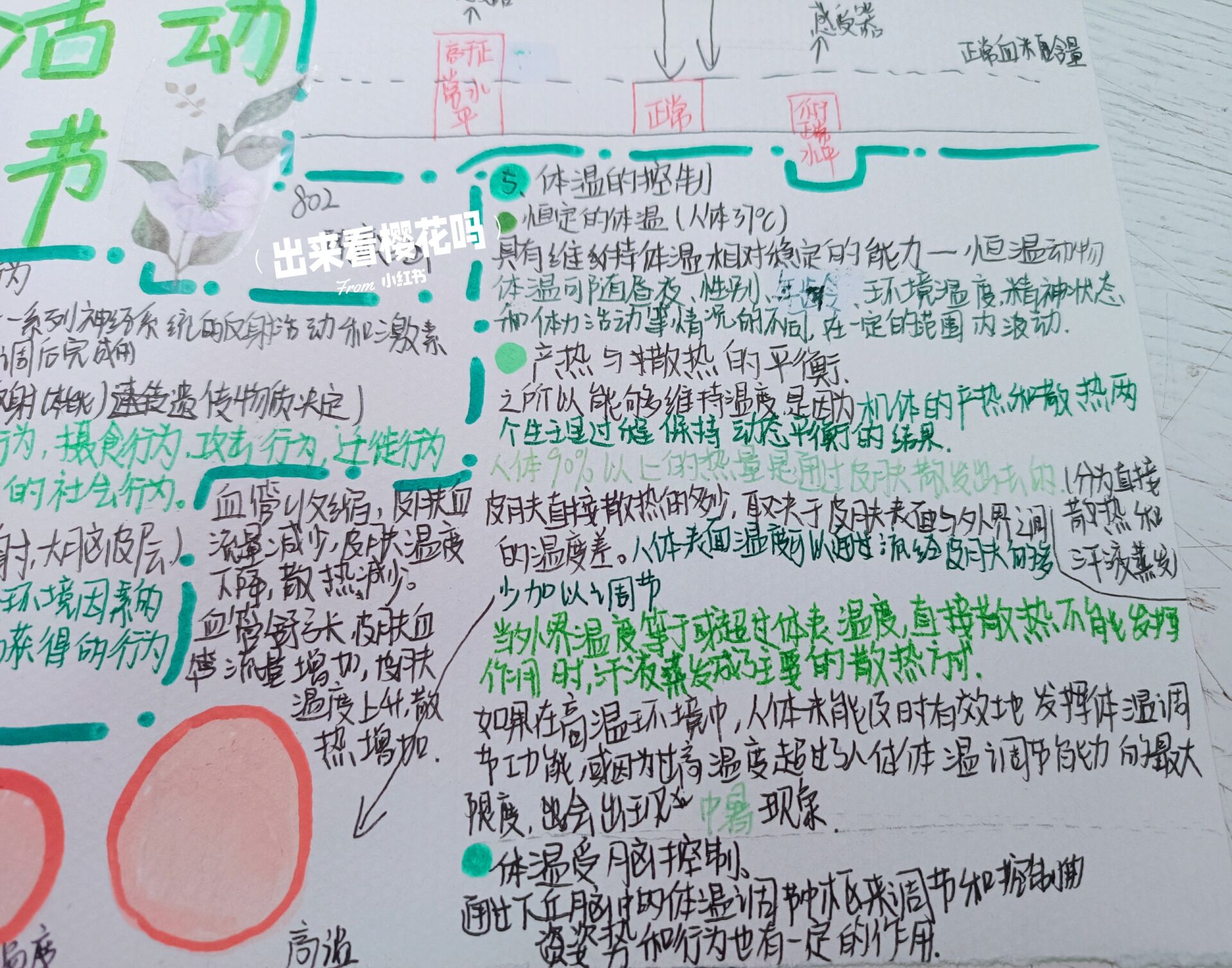 八上浙教版科学第三单元思维导图