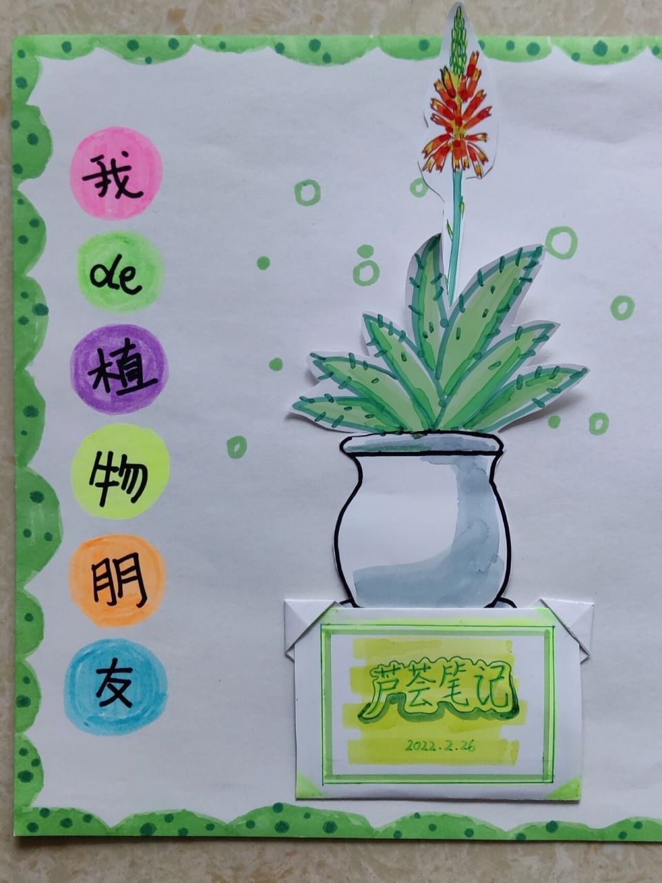 小学生植物画报简单图片