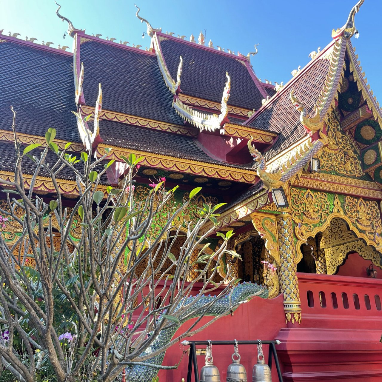 清迈-古巴杰士达  晚点写介绍给大家 最近在清迈欠了好多作业