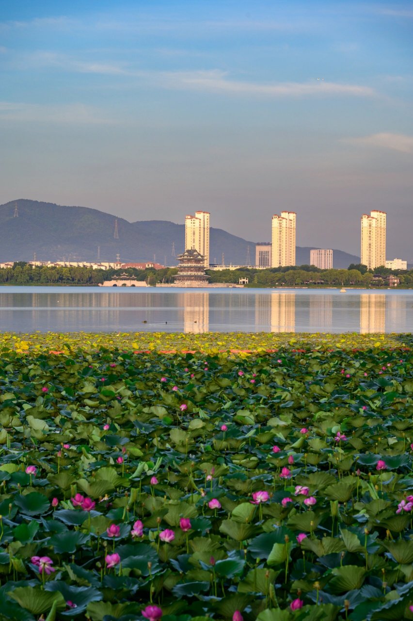 宜兴团氿的早晨,安静又有活力  早晨团氿变边走一走,拍一拍,这就是