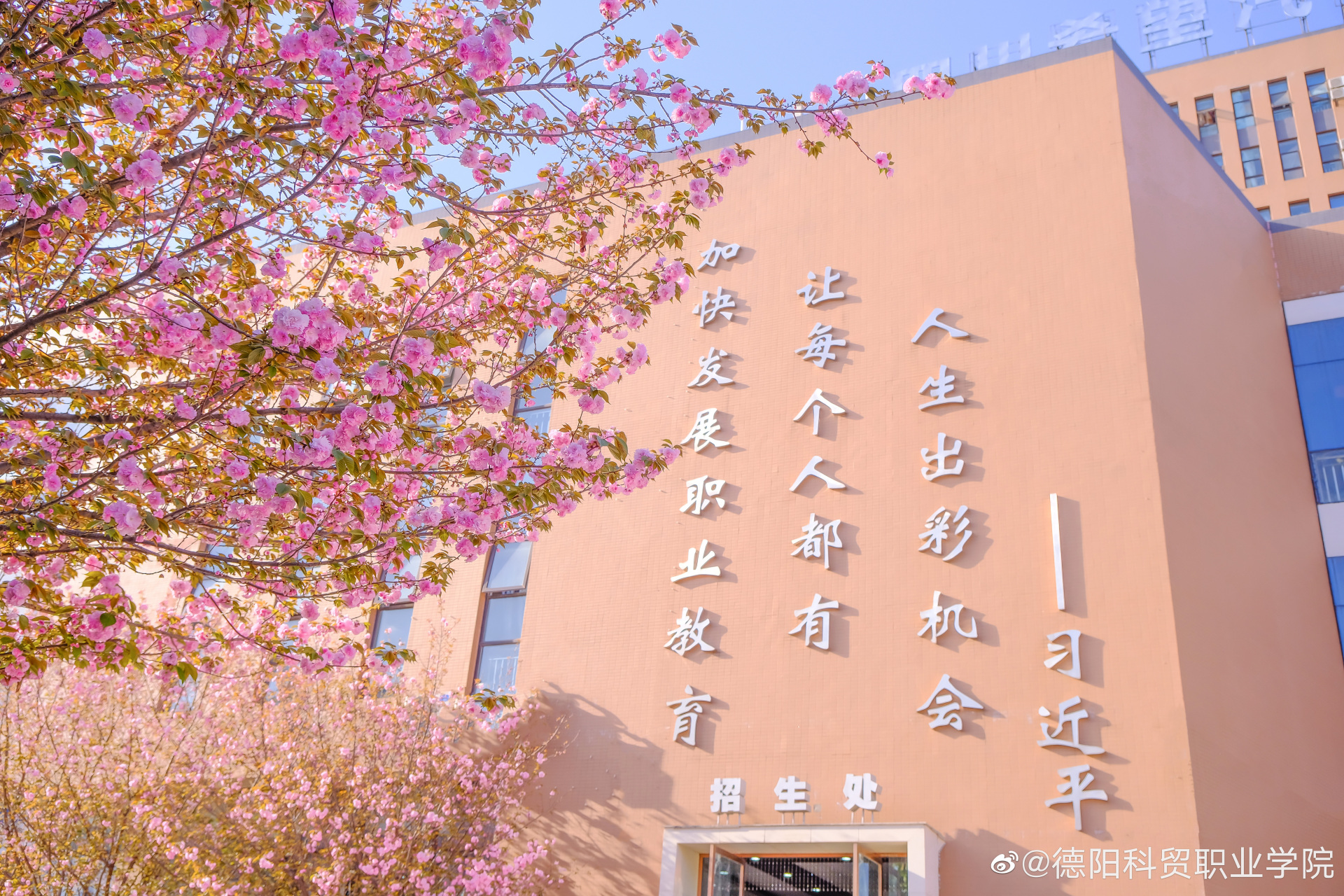 四川希望汽车职业学院10周年校庆# 十年磨砺育芬芳,踔厉奋发向未来