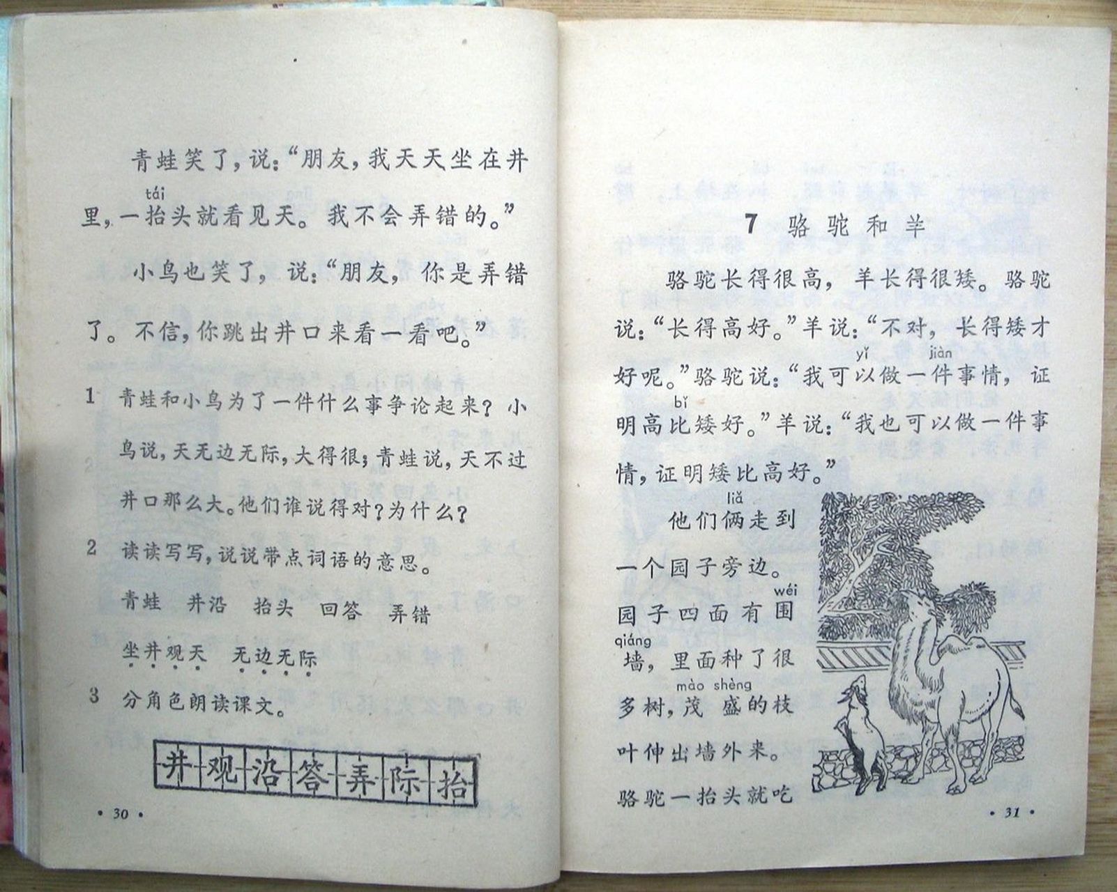 90年代小学语文课文《骆驼和羊》 90年代小学语文课文《骆驼和羊》