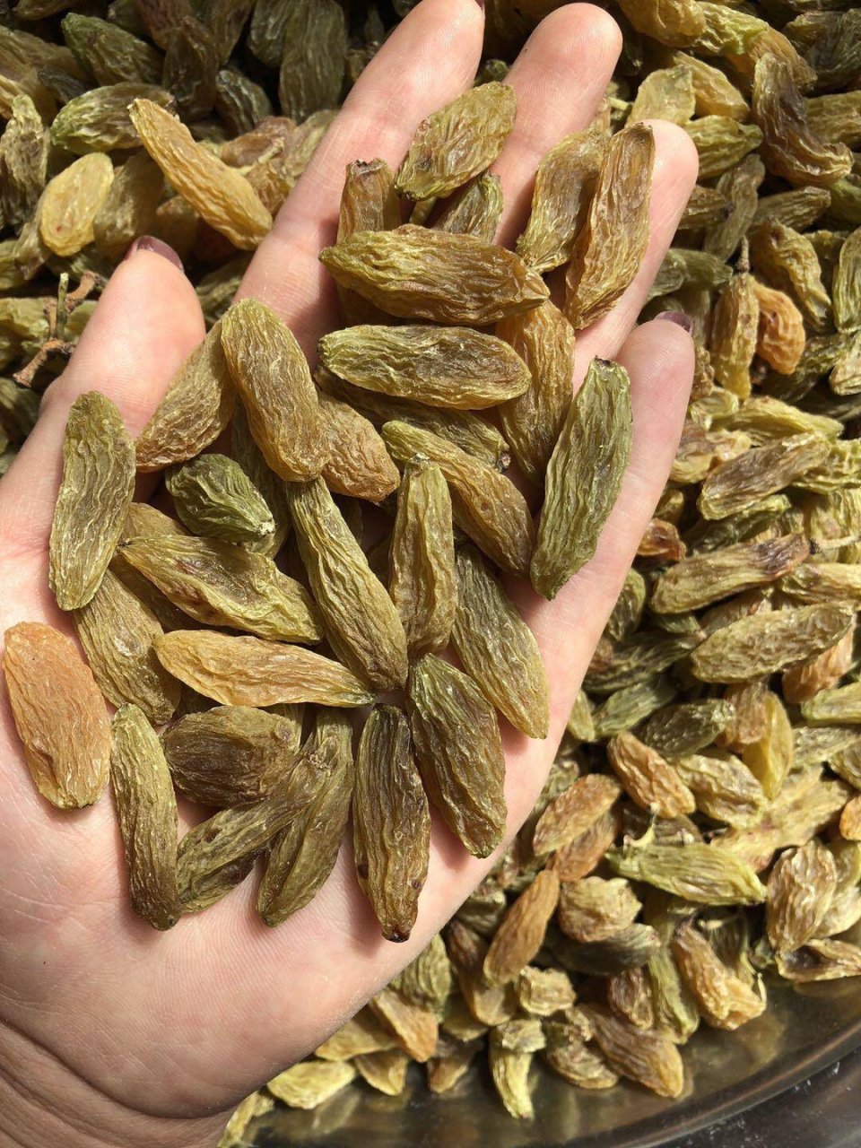 新疆绿香妃特大葡萄干 新疆绿香妃特大葡萄干9035一斤,9065两斤