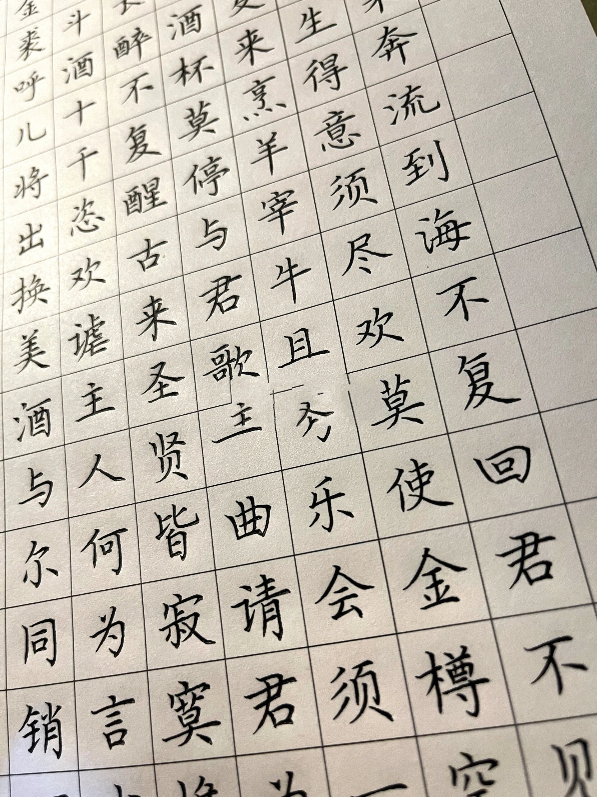 硬笔楷书练字 古诗词《将进酒》
