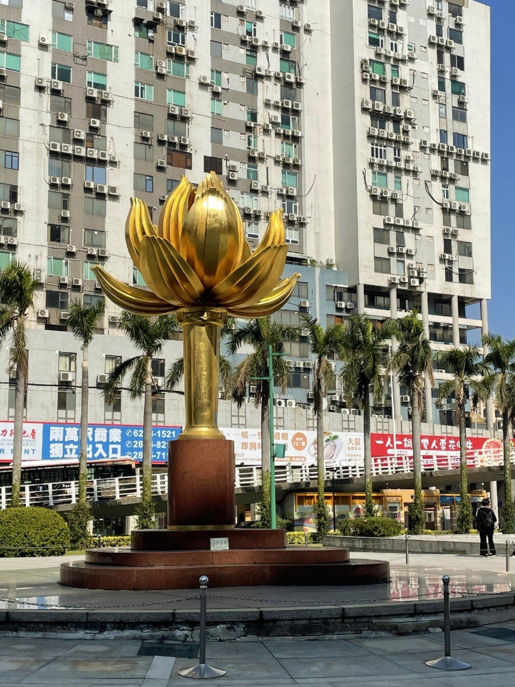 2月15日下午 知道香港有个金紫荆广场,原来澳门也有金莲花广场 一直