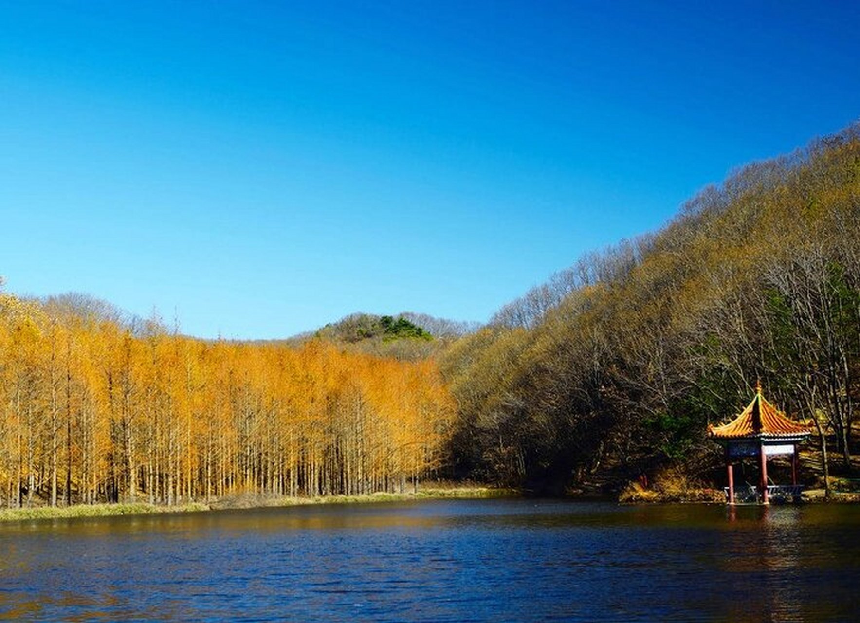 嵩县景点 中国1312个县景点——嵩县 白云山公园 天池山公园 木札岭