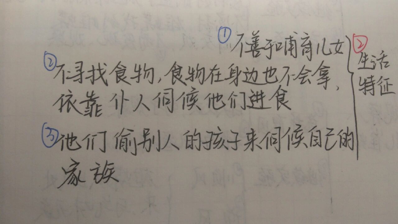 《昆虫记》思维导图 红蚂蚁