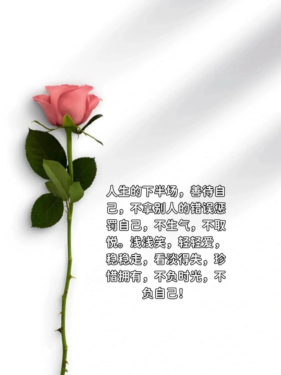 人生的下半场 人生的下半场,善待自己,不拿别人的错误惩罚自己,不生气