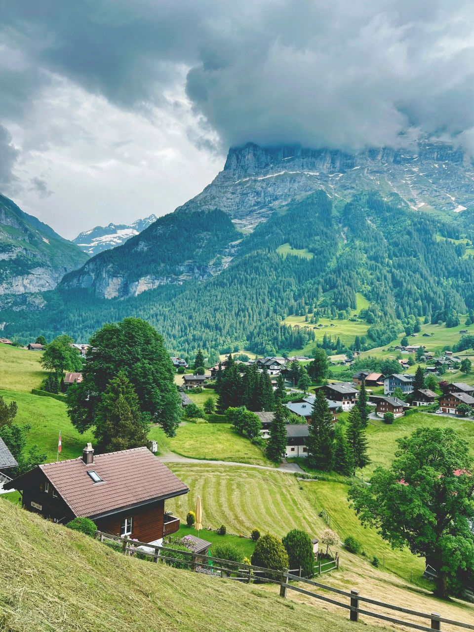 瑞士 | 格林德瓦(梦幻山坡最佳拍摄点) 小红书上火的一塌糊涂的梦幻