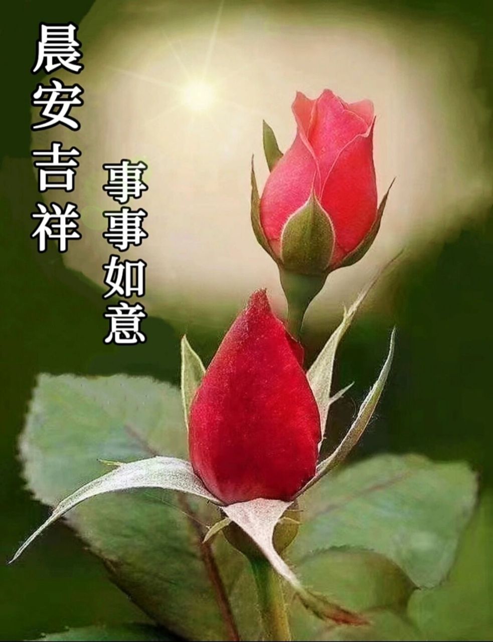 早安吉祥图片 不要担心起点低,那只是我们出发的原点.