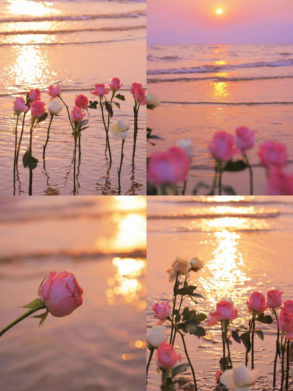 抚仙湖绝美落日|玫瑰海 没有比日落本身还浪漫的文案 99樱花谷 74
