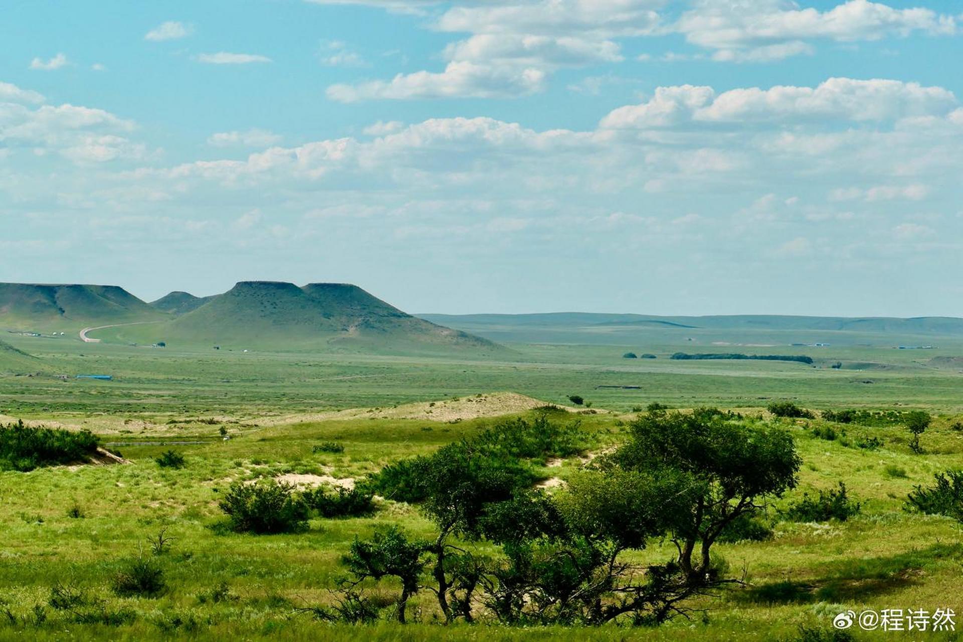 内蒙,锡林郭勒草原的深处,牛儿马儿慢游,皎白的羊群悠闲地吃着青草