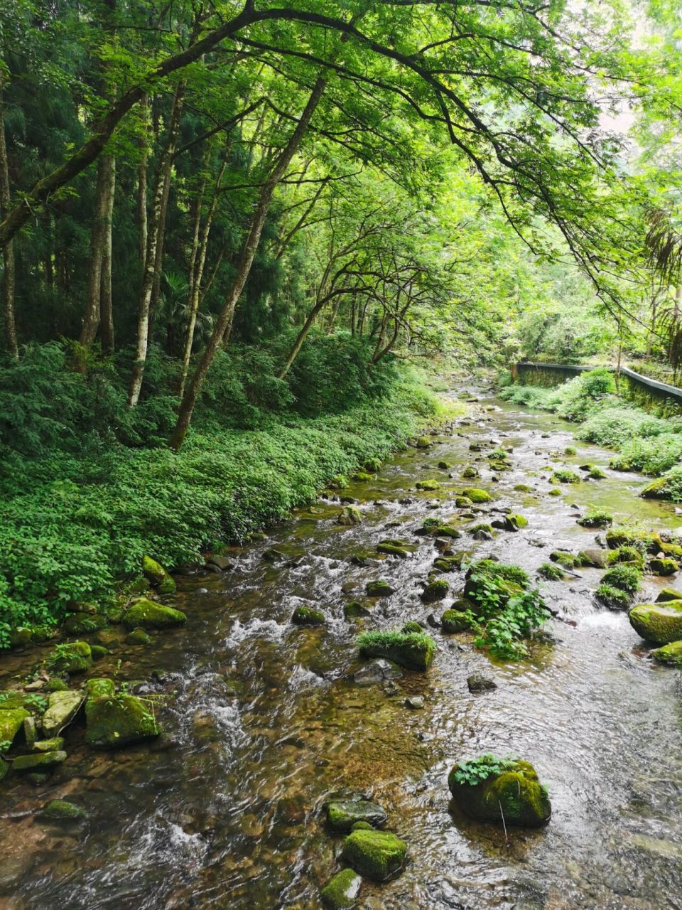 张家界武陵源 金鞭溪 都给我冲 一定要去 张家界国家森林公园也就是