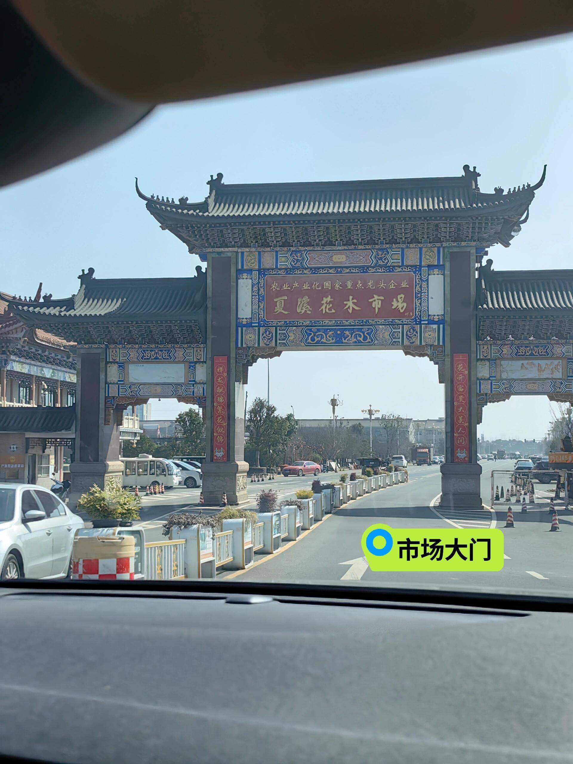周末趁着好天气,驱车一小时来到了常州的夏溪花木市场!