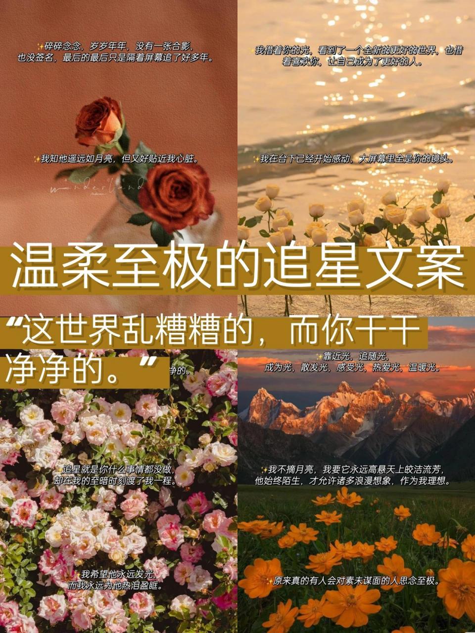 追星女孩的爱是无解的,今天整理了一波追星文案,一起来看一下吧.