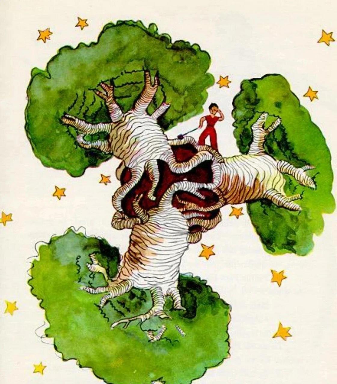 小王子猴面包树的隐喻图片