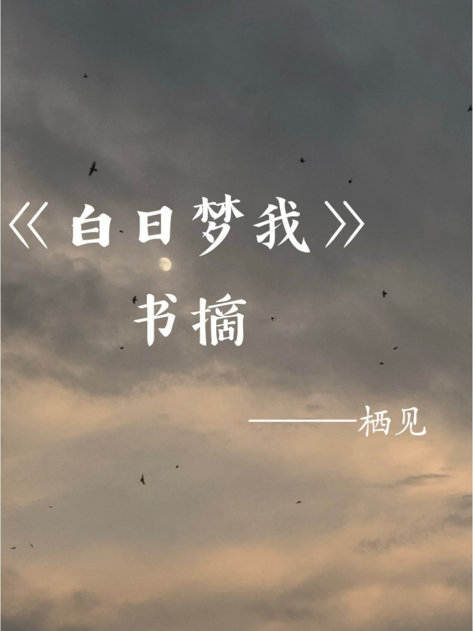 《白日梦我》|书摘|经典语录(三) 沈倦 林语惊 我在赌我的小鲸鱼,会不