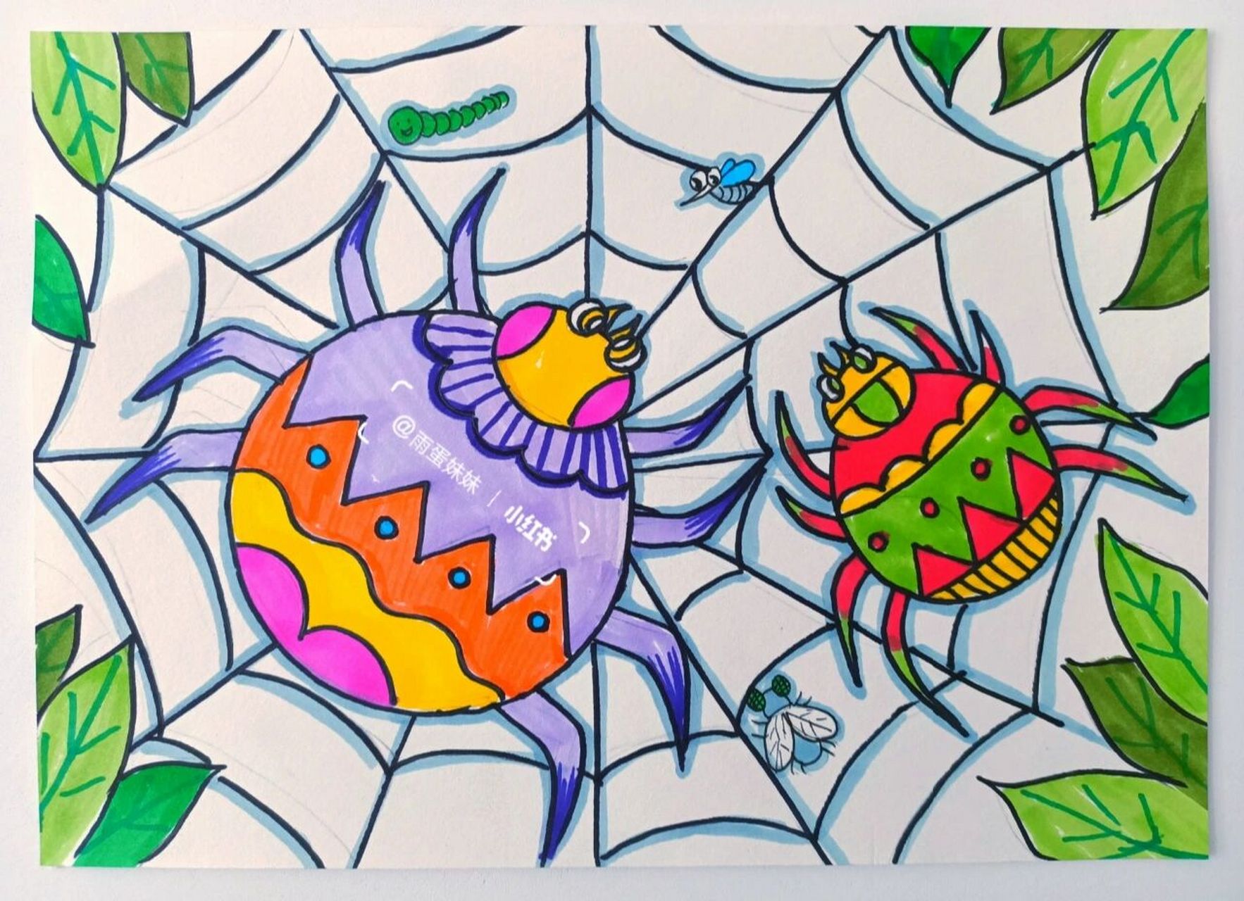 儿童绘画蜘蛛织网图片图片