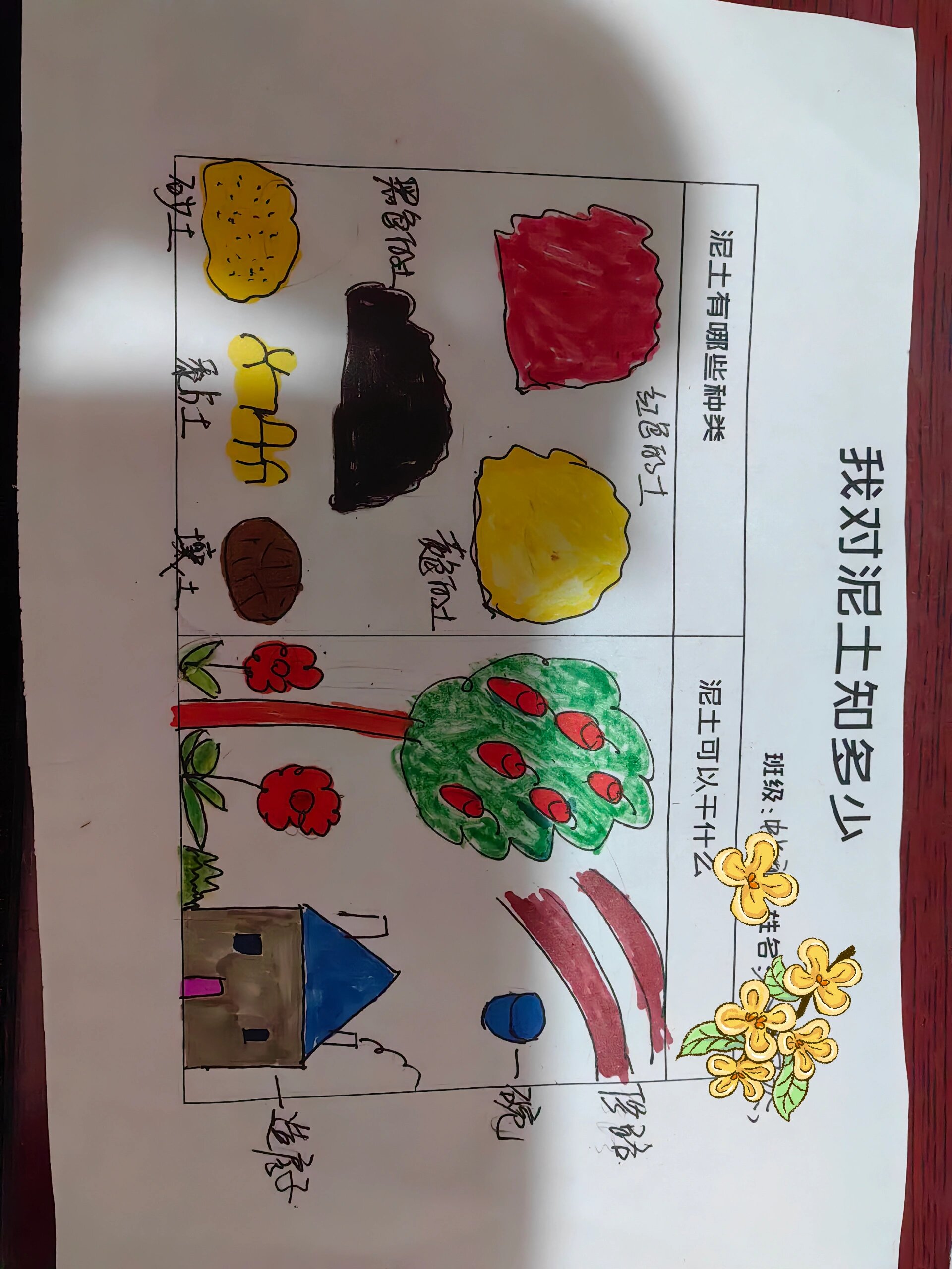 幼儿园亲子作业,我对泥土了解多少