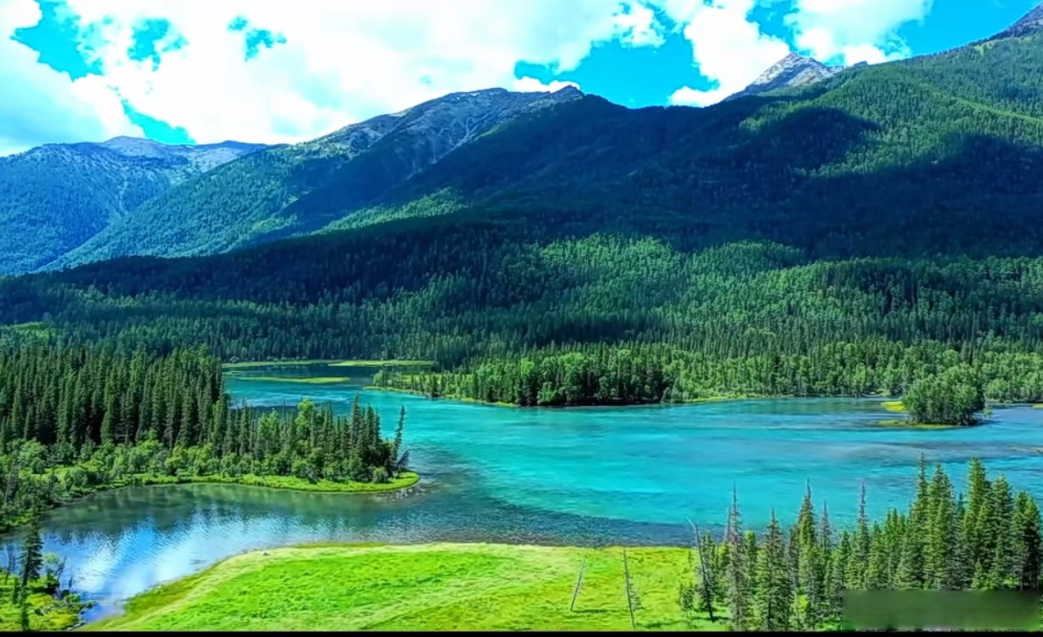 旅行##夏天的100种绿色##超话创作官# 打卡位于新疆阿勒泰地区布尔 