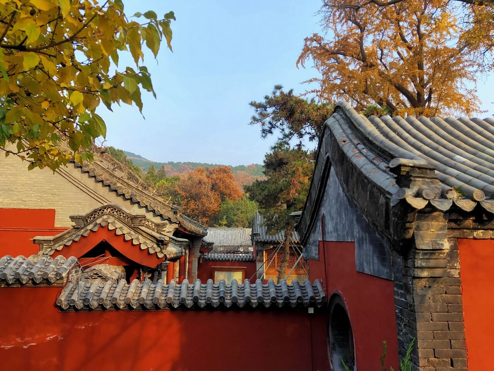 说起泰安秋色最美的地方,普照寺是必须要打卡的!一个拍照