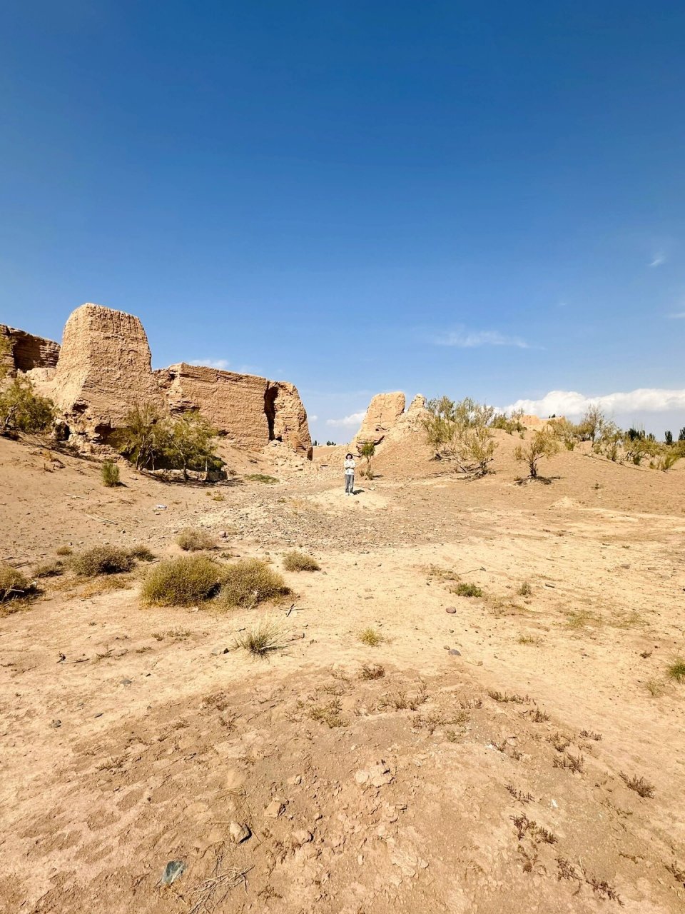 张掖黑水国遗址   张掖黑水国遗址,不建议去北城(图9 10)南城情况更好