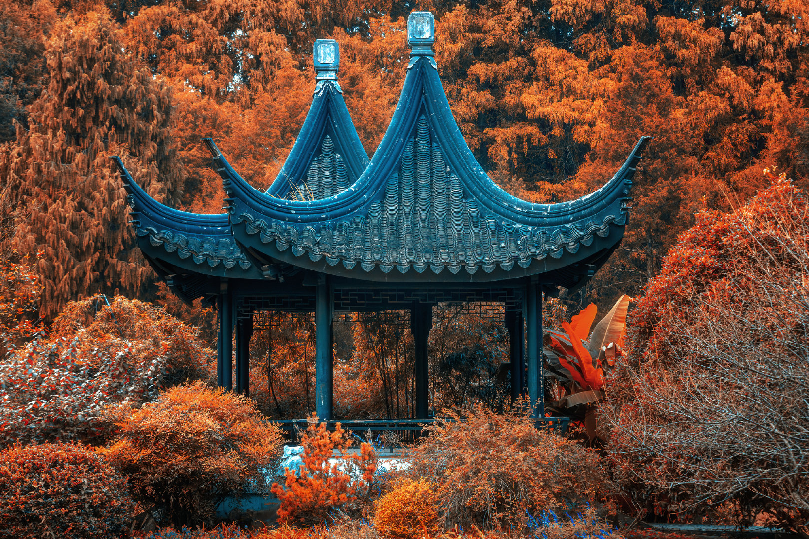 #入秋的南京有了金陵的影子#入秋的金陵,宛如金陵再现